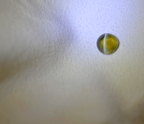 3.01 Carat Honey colored Cat's Eye Chrysoberyl Gemstone from Ceylon