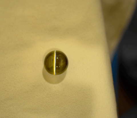 25.04 Carat Natural Apple Green Cat's Eye Chrysoberyl Gemstone from Ceylon